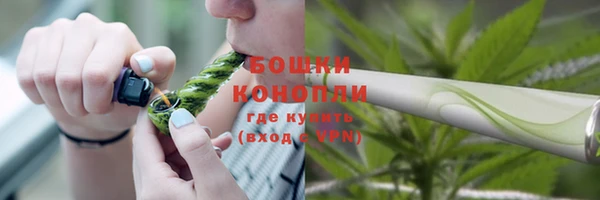 молекула духа Белокуриха