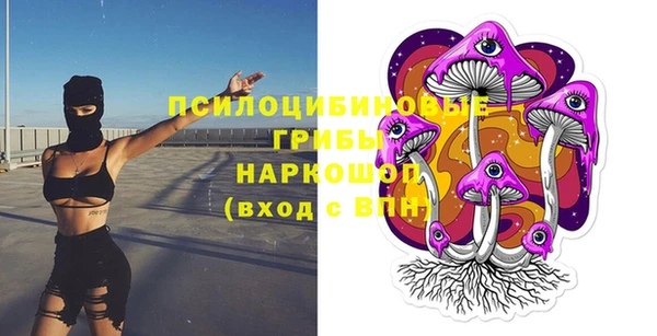 молекула духа Белокуриха