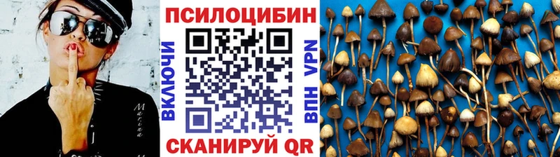 Псилоцибиновые грибы Psilocybine cubensis  Заречный 