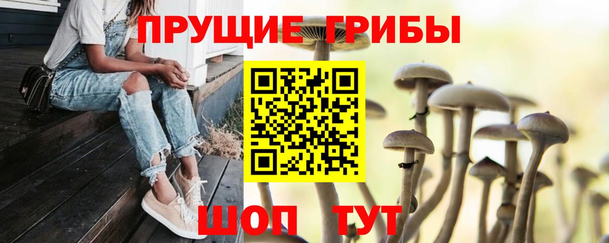 Псилоцибиновые грибы мицелий Заречный